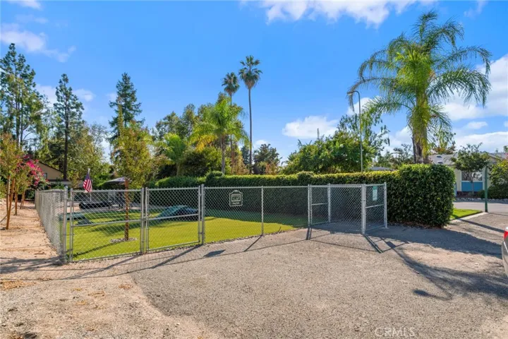 Resident Dog Park