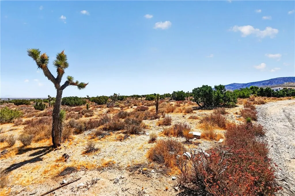 23503-e-ave-z-llano-ca-93544-desert-views.jpg 23503-e-ave-z-llano-ca-93544-desert-views.jpg