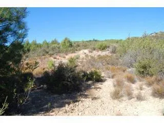 0 Croy Road, Morgan Hill, California 95037 — photo 5
