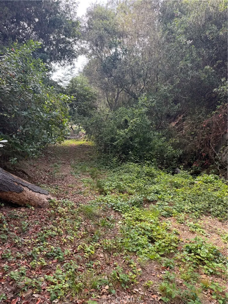 0 Sheffield Street, Cambria, California 93428 — photo 4