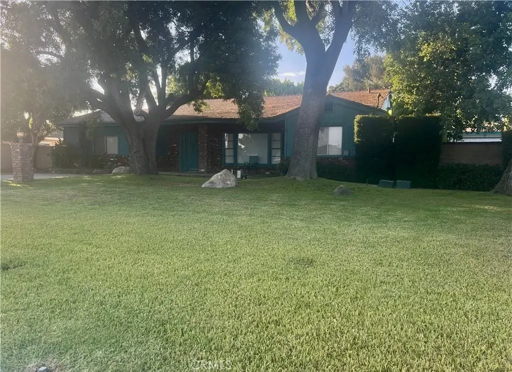 Huge front yard