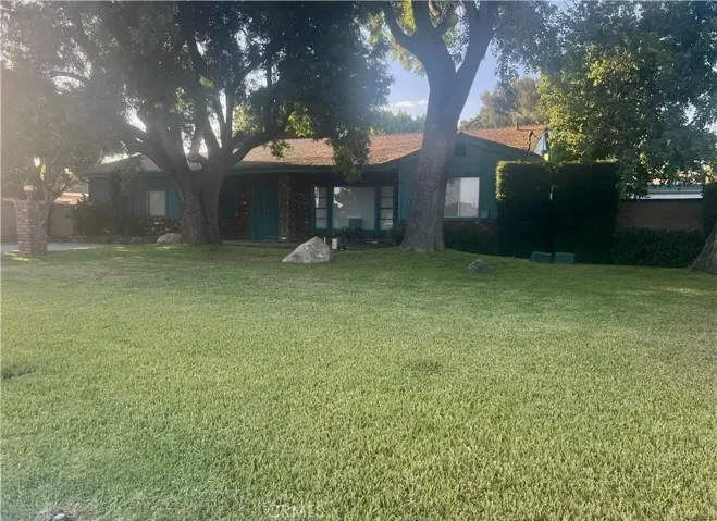 Huge front yard