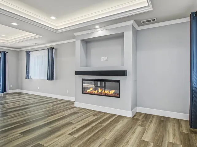 Gorgeous Fireplace Insert.