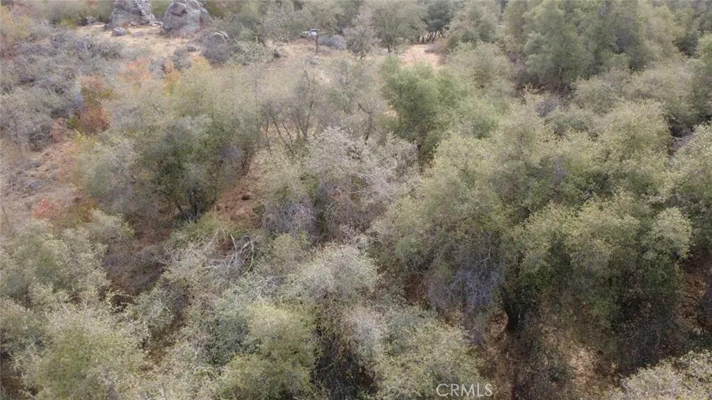 0 Geranium Ln, Squaw Valley, California 93675 — photo 4