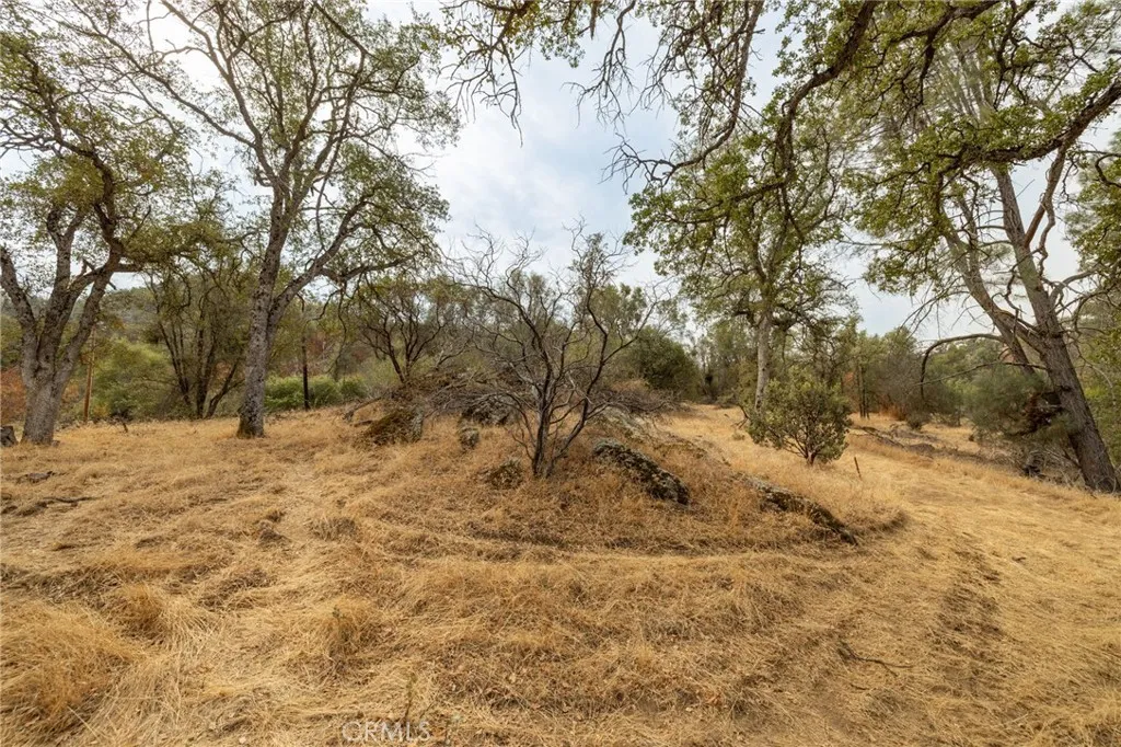 40117 Road 600, Ahwahnee, California 93601 — photo 4