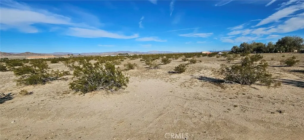 800 Desert Queen, 29 Palms, California 92277 — photo 5