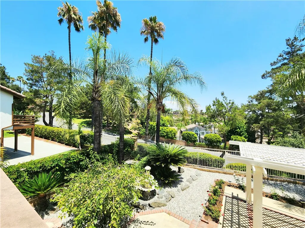 View from the Balcony