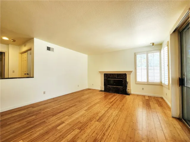 Family Room with the Fireplace