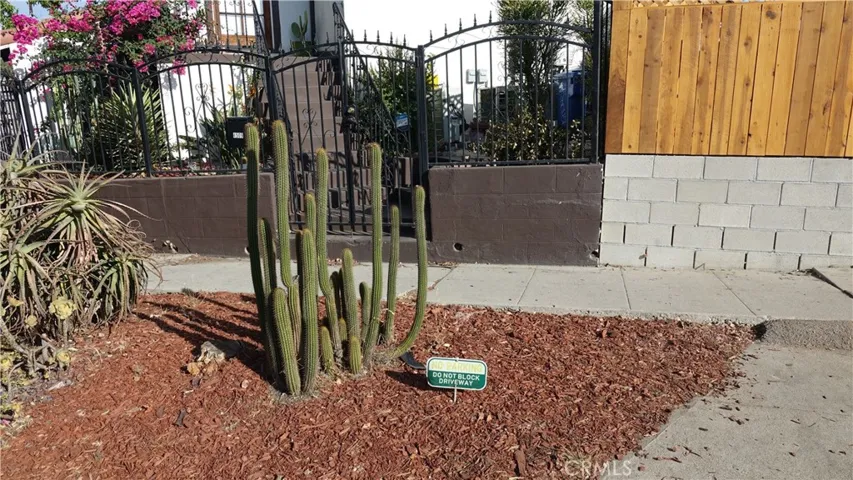 Great Curb appeal