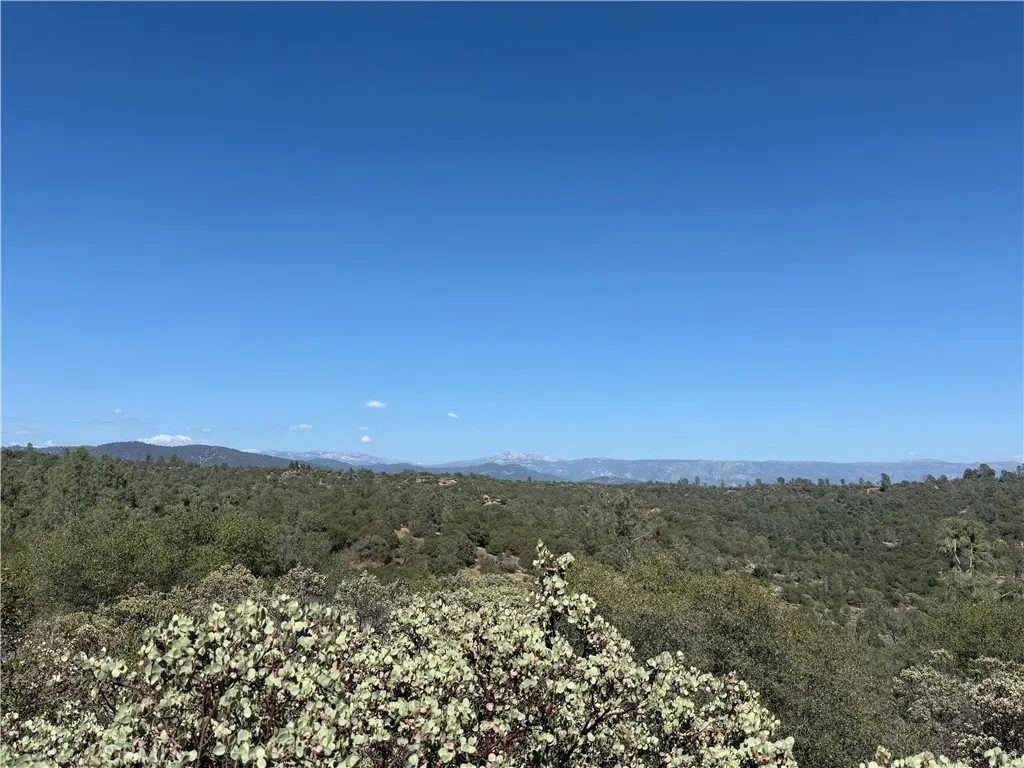 Views towards Sierra National Forest / Yosemite National Park
