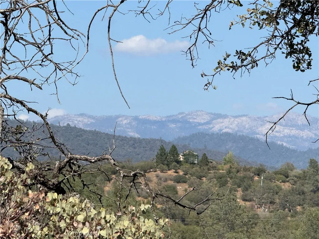Views towards Sierra National Forest / Yosemite National Park