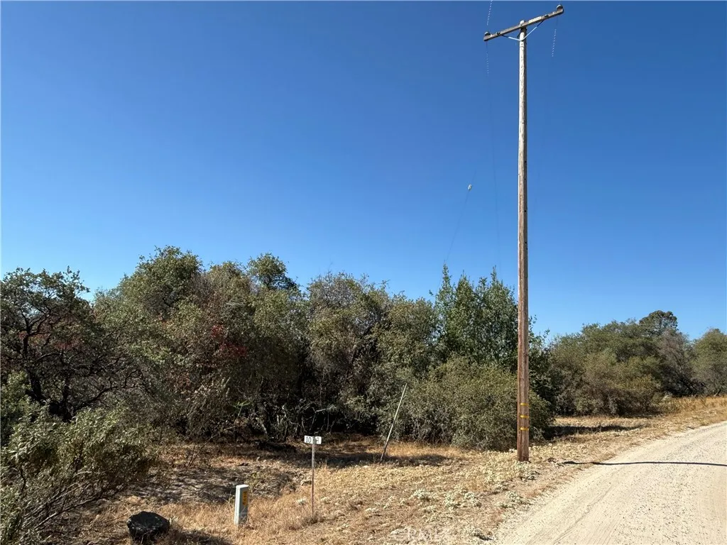 Power Pole at Property Line and Road