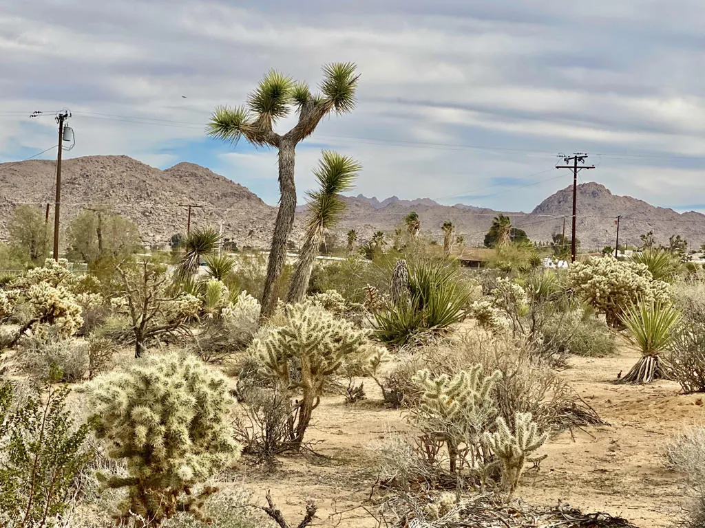6925 Sunnyhill Road, Joshua Tree, California 92252 — photo 4