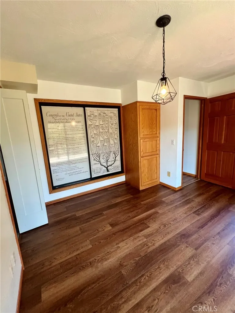 Built in storage and closet