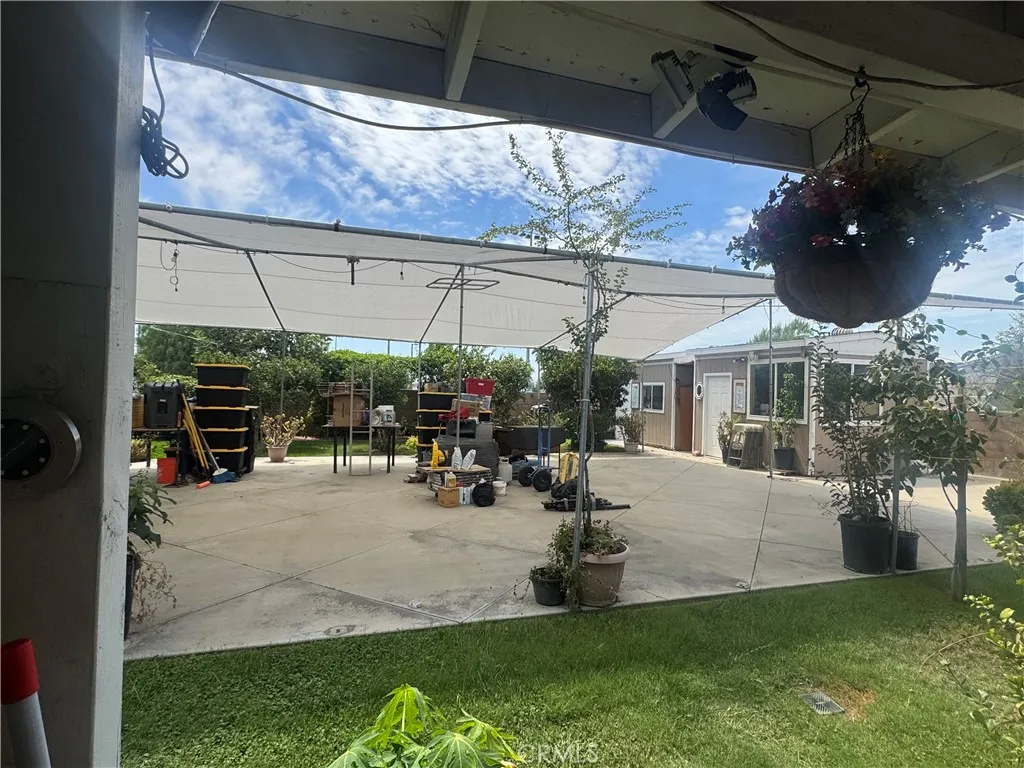 Back Yard Back Yard