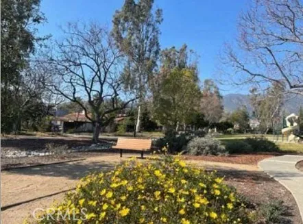 Community Amenities