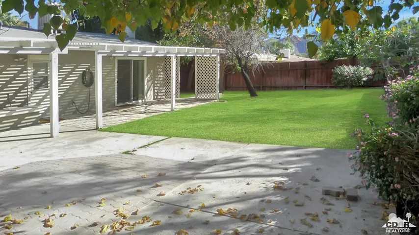 Backyard