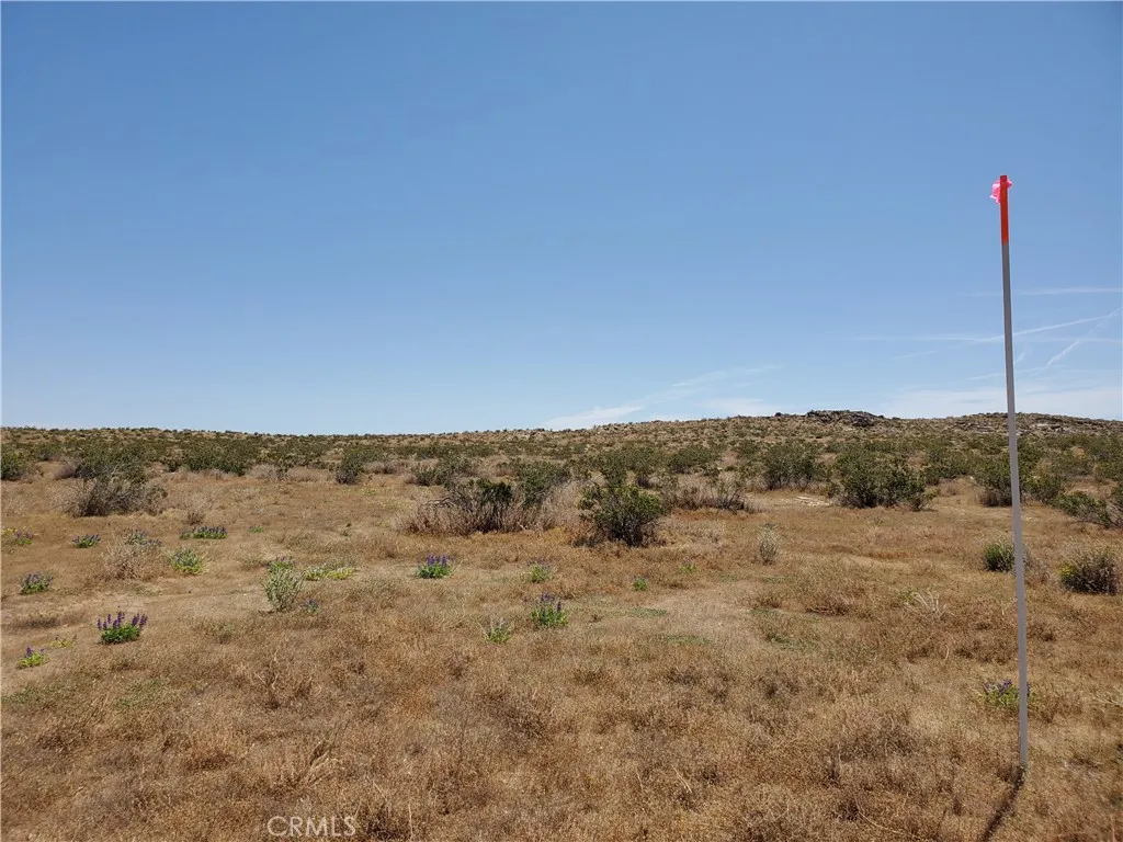 2 Ac Ave H8 Street, Lancaster, California 93535 — photo 4