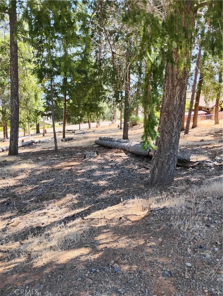 3556 Meadow Wood