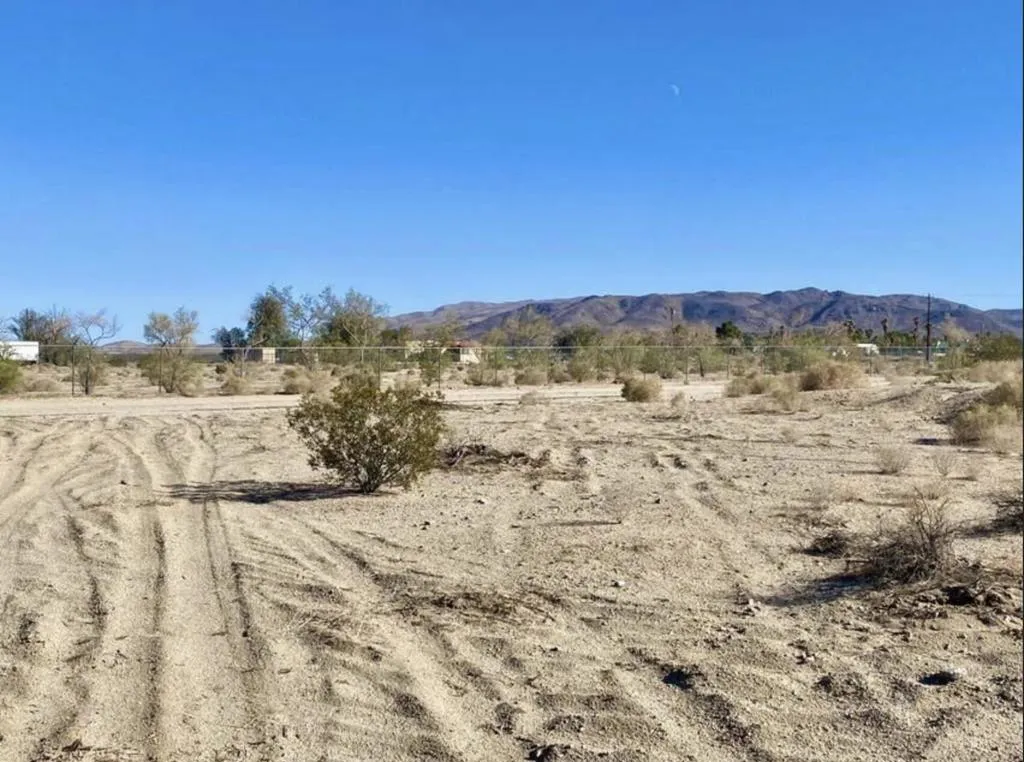 8219 Araby Avenue, 29 Palms, California 92277 — photo 5