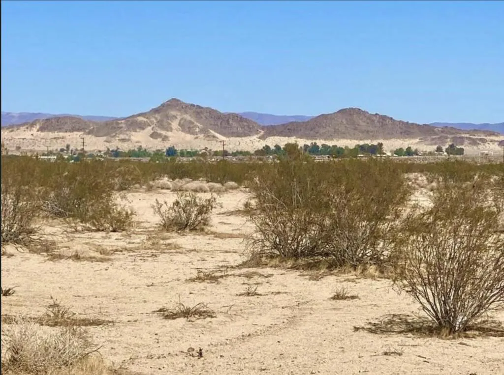 5310 Lazy Joe Avenue, 29 Palms, California 92277 — photo 5