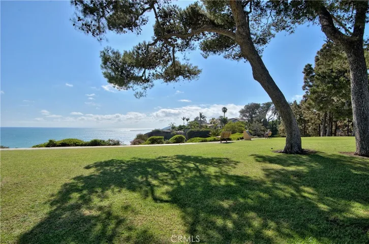 Famous Pines Park, a Local Favorite within Walking Distance