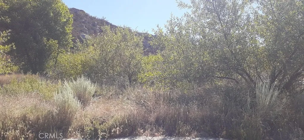 0 Crazy Horse, Aguanga, California 92536 — photo 5