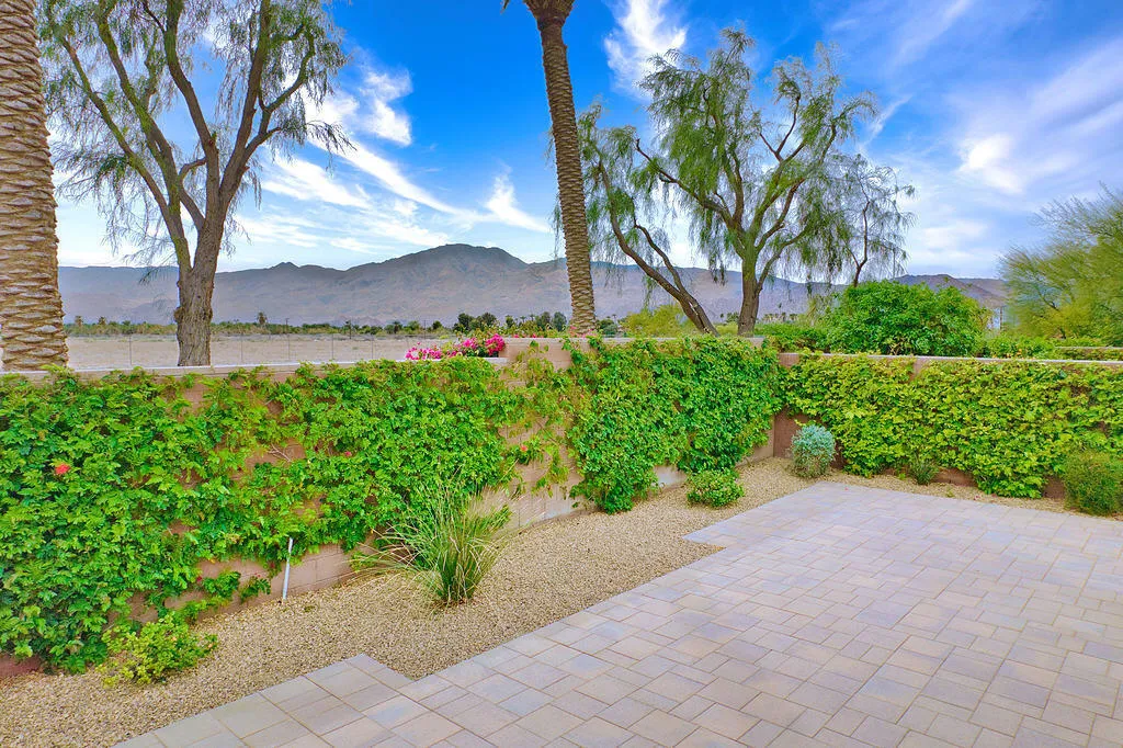 Backyard Mountains