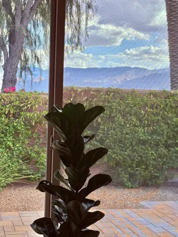 Den Flex Space Mt. View