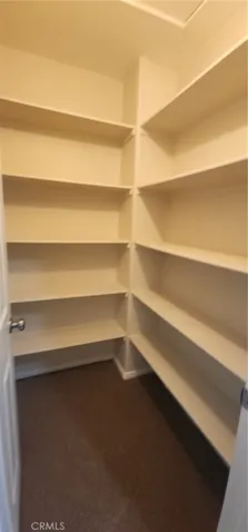 Pantry in kitchen