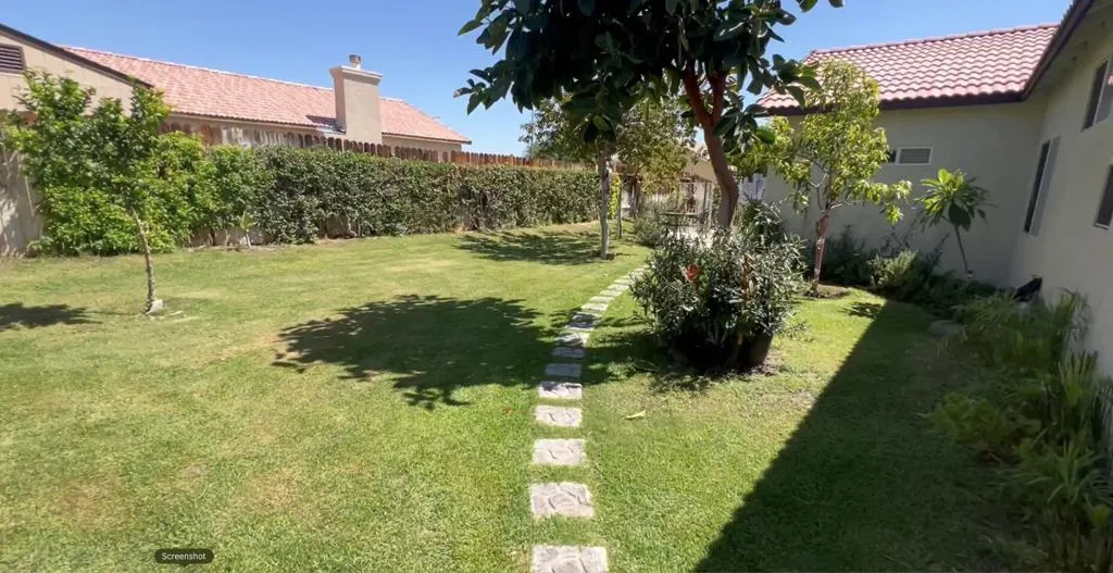 BACKyard2