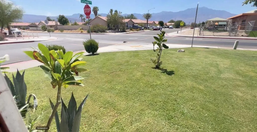 VIEWfromFRONTyard1