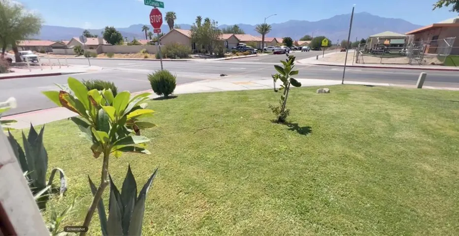 VIEWfromFRONTyard1