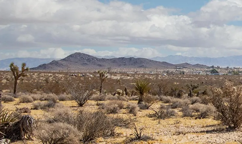 204 Avenida Del Sol, Joshua Tree, California 92252 — photo 5