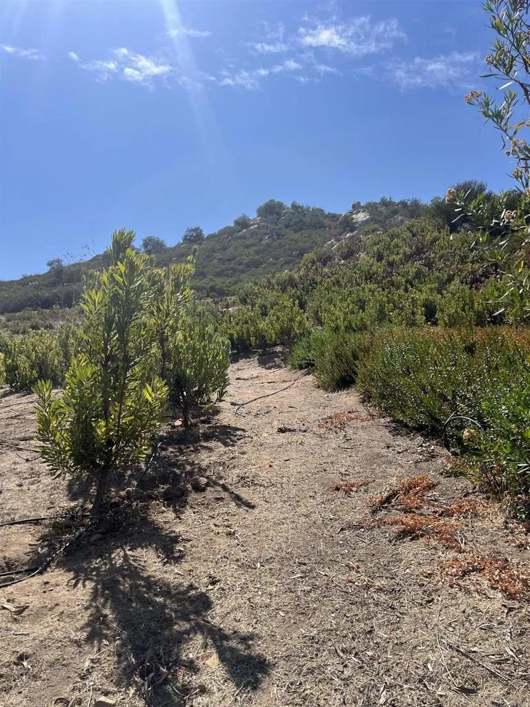 26336 N Lake Wohlford Road, Valley Center, California 92082 — photo 4