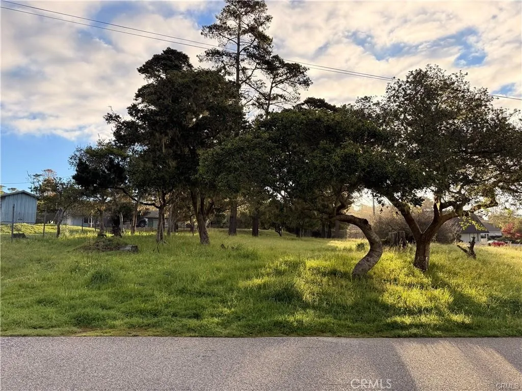 6126 Charing, Cambria, California 93428 — photo 4