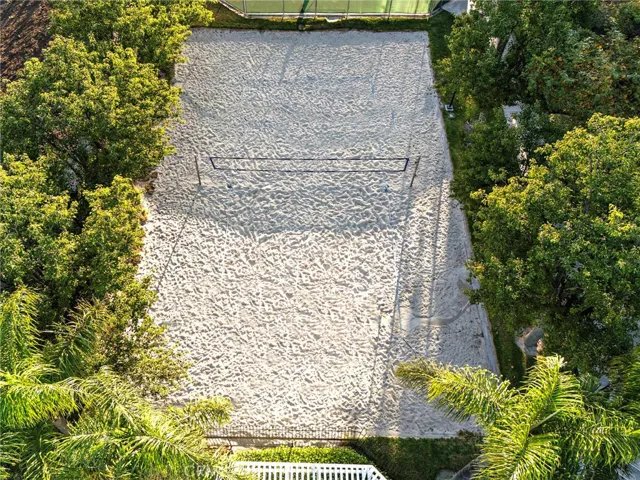 Volleyball Court