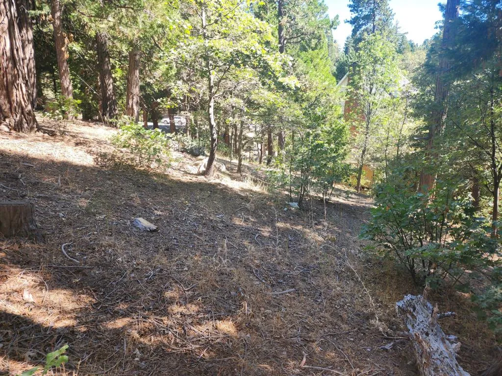 0 Grass Valley