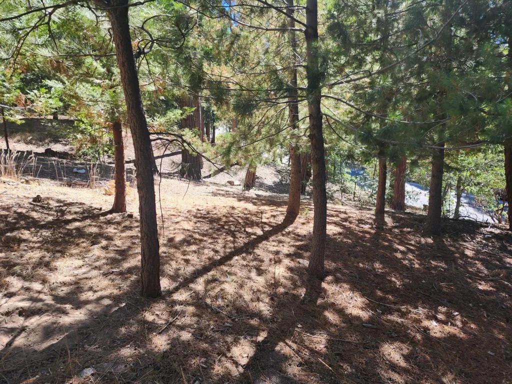 0 Grass Valley, Lake Arrowhead, California 92352 — photo 4