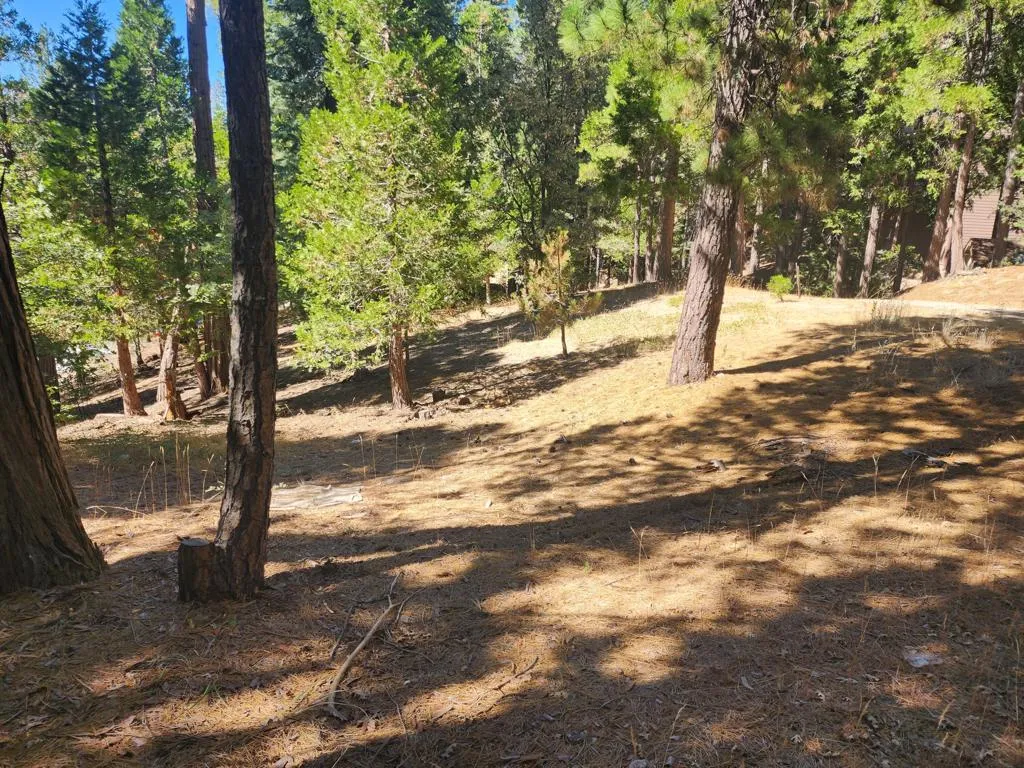 0 Grass Valley