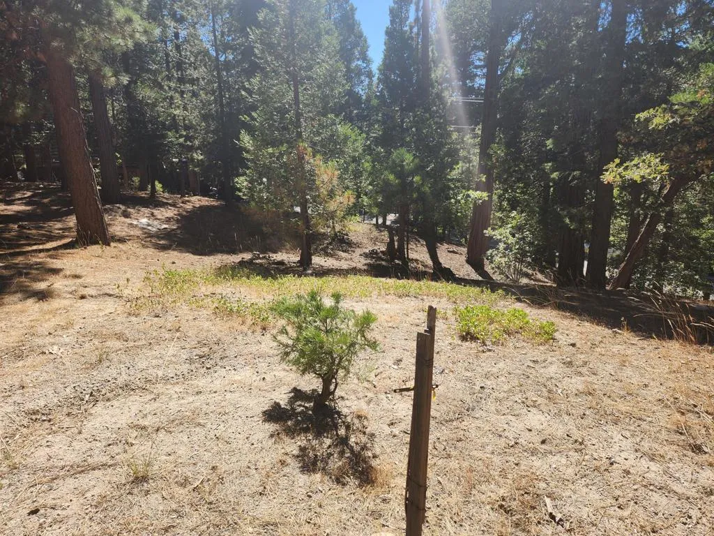 0 Grass Valley, Lake Arrowhead, California 92352 — photo 5
