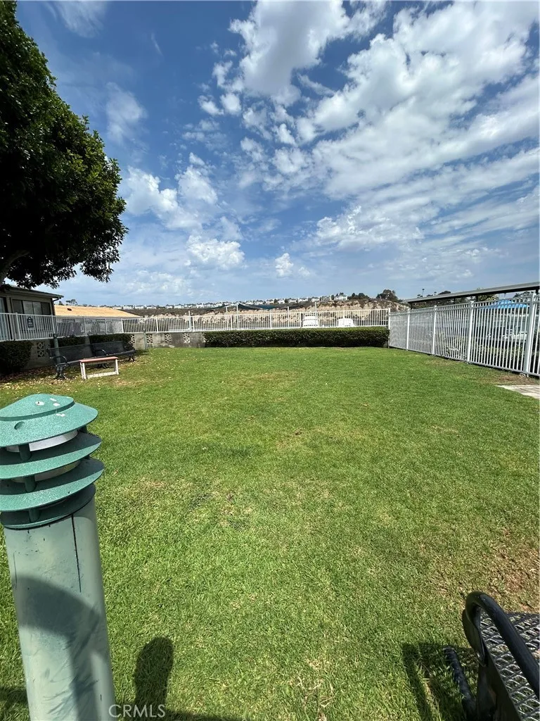 Dog Park