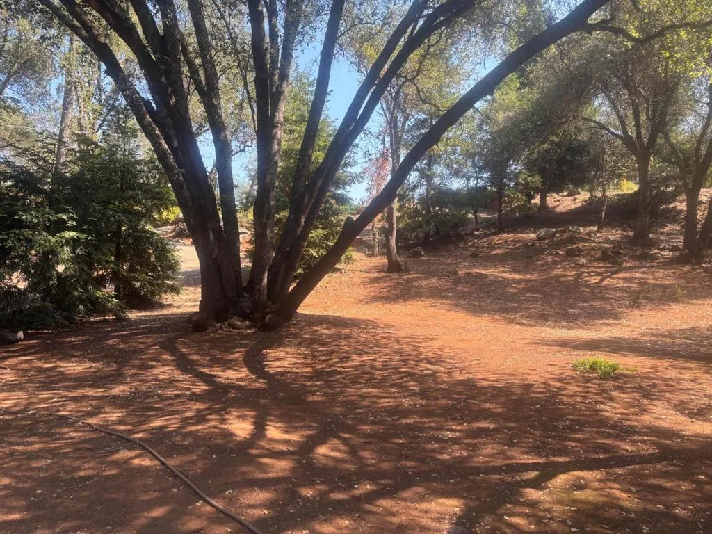 3652 Fairway Drive, Cameron Park, California 95682 — photo 4