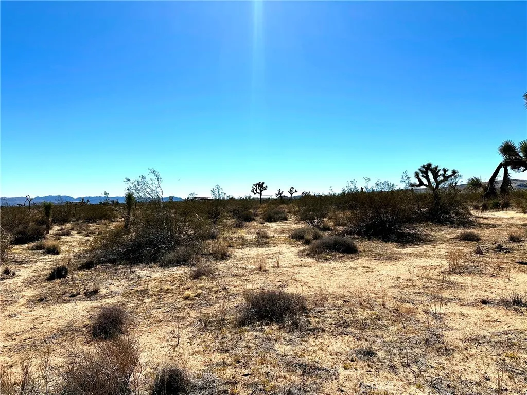 0 Goldfich, Landers, California 92285 — photo 4