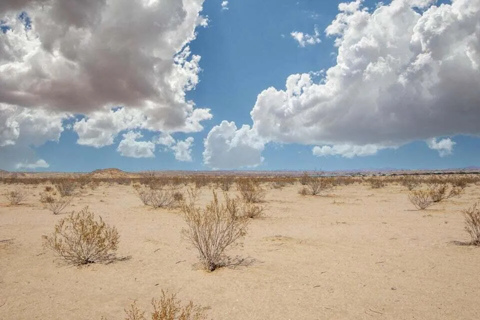 109 Amboy Road, 29 Palms, California 92277 — photo 5