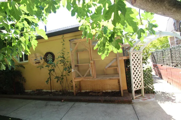 Catio