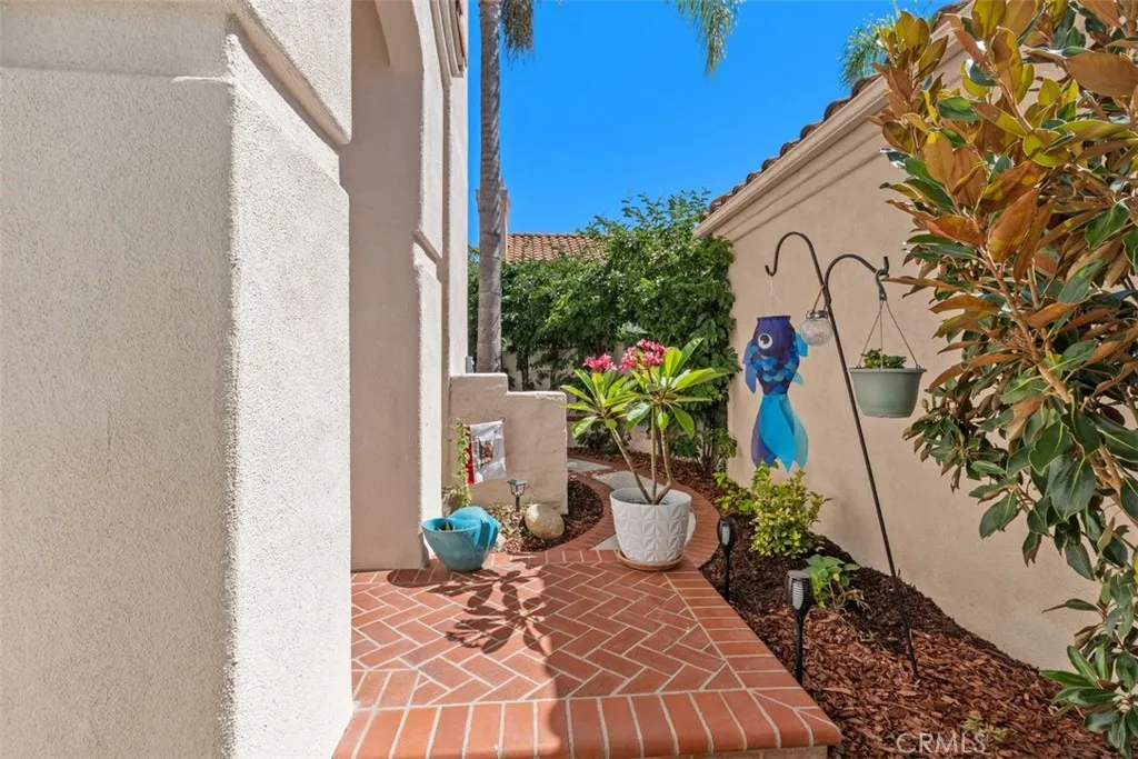 Side walkway to front (left side)door and back yard.