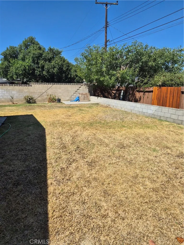 Backyard Backyard