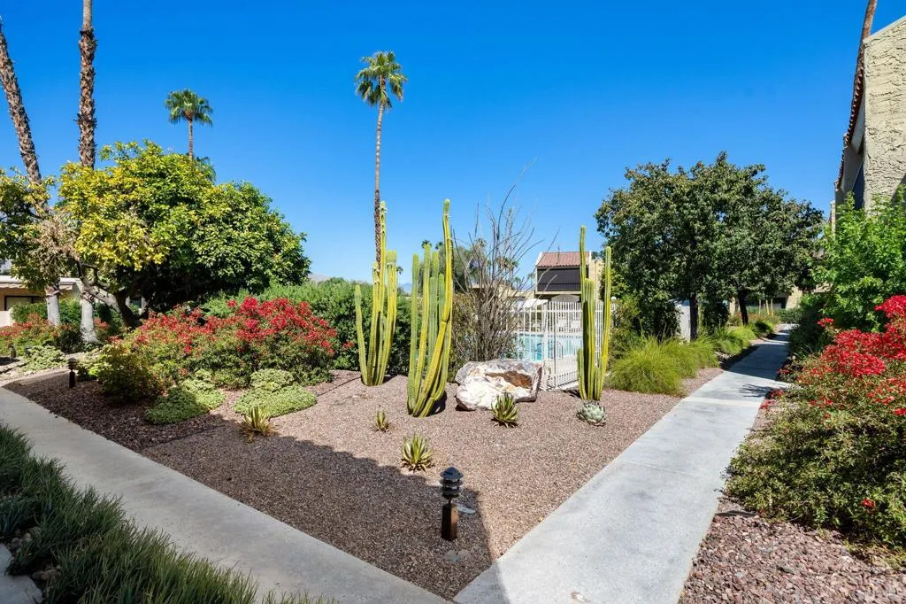 2338 Los Patos Drive, Palm Springs, California 92264 — photo 5