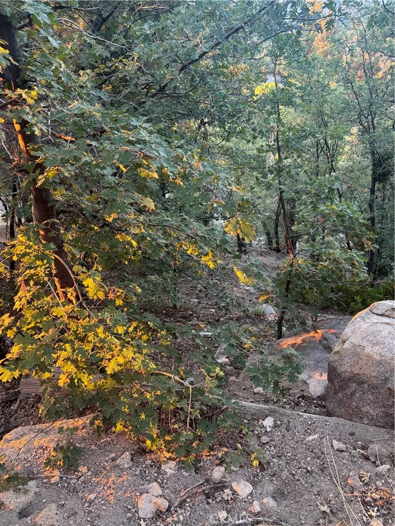 0 Acacia, Crestline, California 92325 — photo 5